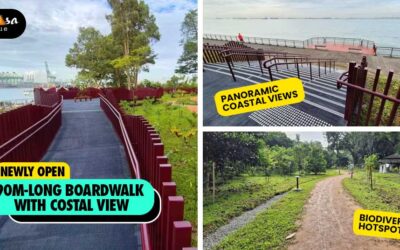 Discover Nature’s Serenity: The Keppel Coastal Trail at Labrador Nature Park NOW OPEN!