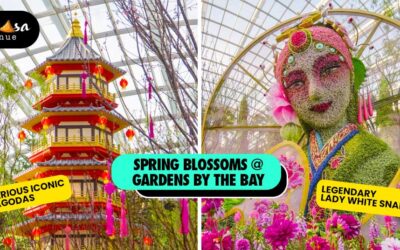 Spring Blossoms: The Legend of Lady White Snake at Gardens by the Bay